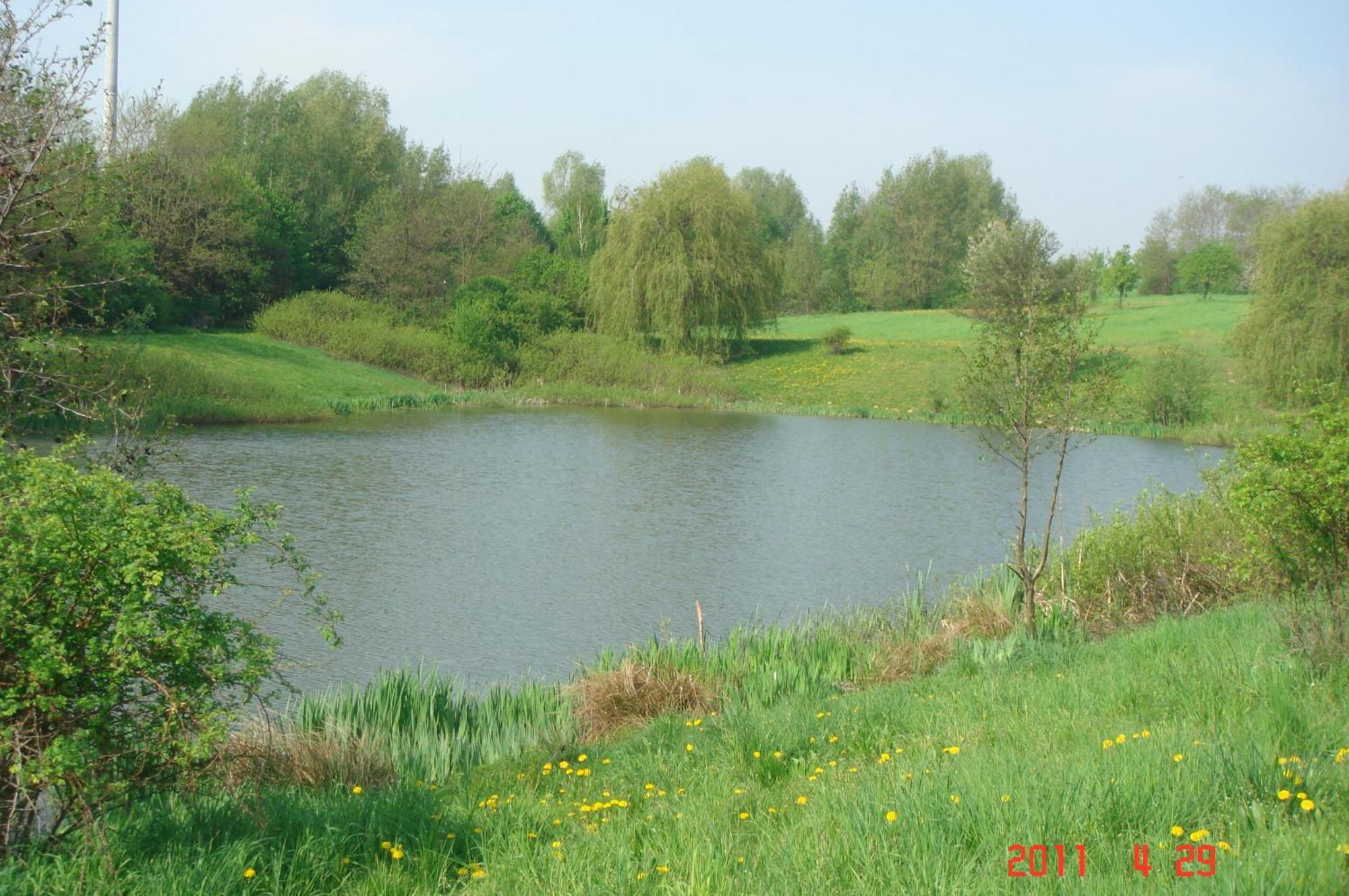 Zur Linde Hotel Ostrau  Luaran gambar